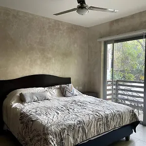 https://hermoso-departamento-dentro-de-aldea-zam.tulum-hotels.net
