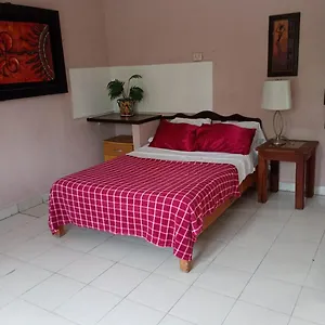 En Planta Alta, A Pie De Calle , Cozumel México